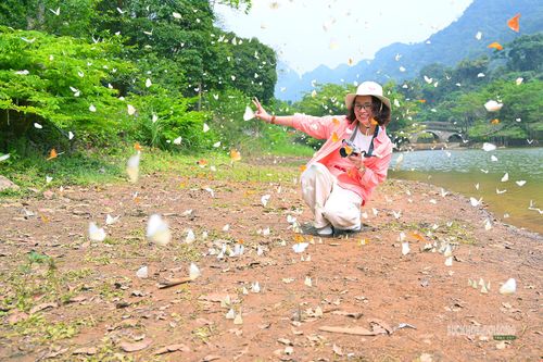 Du khách ghi lại khoảnh khắc thiên nhiên tại Cúc Phương.