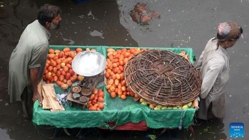 Lũ lụt do mưa lớn bất thường gây ảnh hưởng nghiêm trọng tới đời sống người dân Pakistan, hồi tháng 8/2024. (Ảnh: Xinhua)