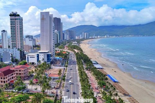 Phân khúc căn hộ và chung cư tiếp tục đóng vai trò dẫn dắt nguồn cung mới, đáp ứng nhu cầu ở thực.