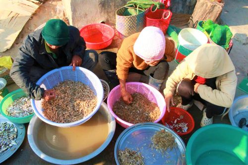 Người dân bán tôm, cá đánh bắt được dưới sông Đăk Bla. Ảnh: TT.