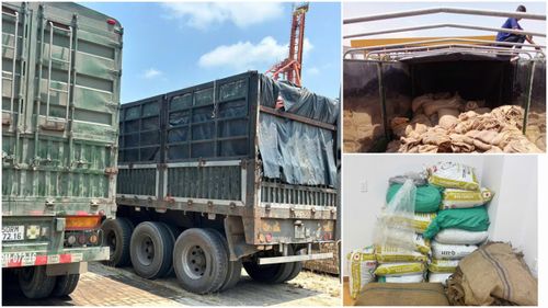  Phương tiện, tang vật bị công an thu giữ 