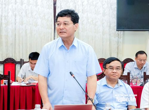 Trưởng ban Tổ chức Tỉnh ủy Phạm Trọng Hoàng phát biểu tại phiên họp. Ảnh: Phạm Bằng