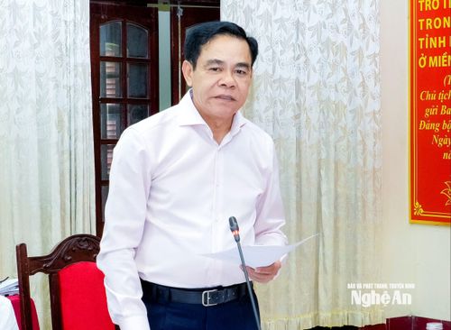 Phó Bí thư Tỉnh ủy, Chủ tịch UBND tỉnh Võ Trọng Hải phát biểu tại phiên họp. Ảnh: Phạm Bằng