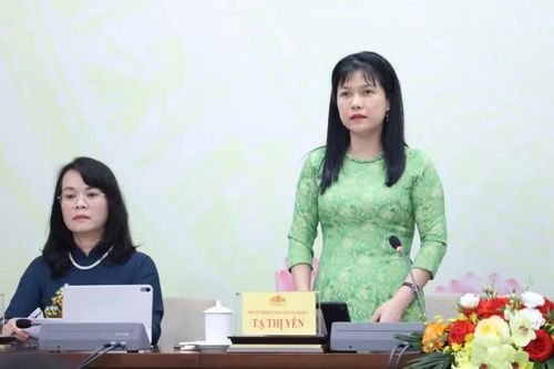 Phó Chủ nhiệm Ủy ban Công tác đại biểu Tạ Thị Yên trả lời báo chí. Ảnh: Báo VOV.