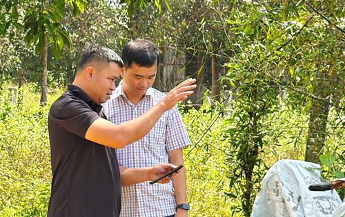 Anh Nguyễn Văn Trí (bên trái) giới thiệu cách quản lý, giám sát lộ trình di chuyển của đàn bò thông qua ứng dụng trên điện thoại thông minh - Ảnh: L.A