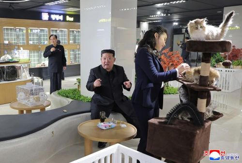 Kim Ju Ae vuốt ve những chú mèo tại cửa hàng. Ảnh: KCNA