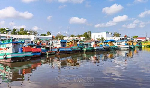 Toàn xã Đá Bạc có tổng số 689 tàu, hiện nay có hơn 40 chiếc tạm ngừng khai thác trước ảnh hưởng của giá nhiên liệu.