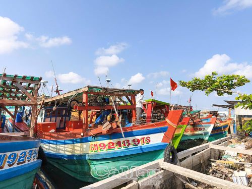 Trước thực trạng giá nhiên liệu tăng cao, Sở NN&amp;MT đã đề xuất với tỉnh, bộ ngành Trung ương xem xét triển khai chính sách hỗ trợ an sinh đối với ngư dân và thuyền viên bị ảnh hưởng.