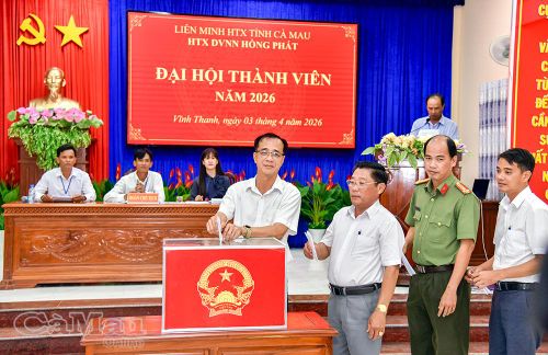Đại biểu bỏ phiếu bầu Hội đồng Quản trị HTX.