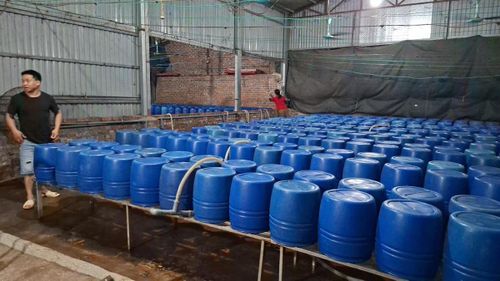 Việc sử dụng chất này có thể gây ra những hậu quả nghiêm trọng đến sức khỏe người tiêu dùng, bao gồm tổn thương gan, thận, phổi và nguy cơ dẫn đến tử vong nếu tiếp xúc lâu dài. Ảnh: Thiên Bình.