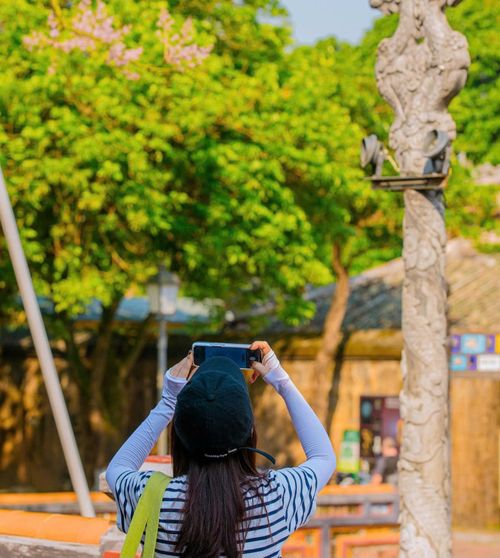  Yến Vi, một du khách đến Huế, chia sẻ đây là lần đầu được tận mắt ngắm hoa ngô đồng nở rộ trong Hoàng cung Huế, vẻ đẹp vừa thanh thoát vừa cổ kính khiến cô ấn tượng và muốn lưu lại nhiều khoảnh khắc kỷ niệm. 