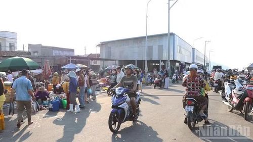 Từ sáng sớm tinh mơ, nơi đây đã rộn ràng khung cảnh đi lại, mua bán nhộn nhịp của làng biển.