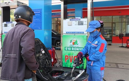 Quảng Ngãi chủ động nguồn, mở rộng “phủ sóng” xăng sinh học E10. Ảnh: Phạm Cường/TTXVN