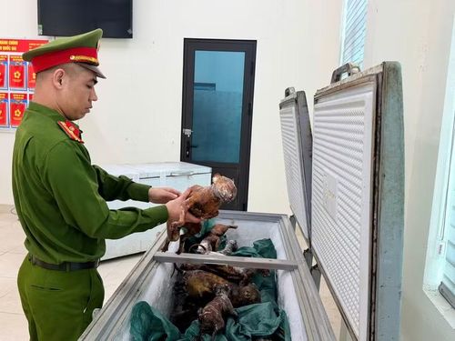 Nhiều con mèo đã bị giết thịt. Ảnh: Công an Hà Nội.