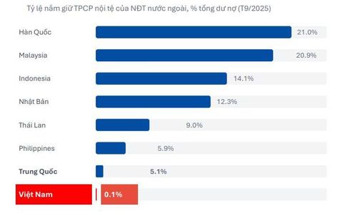 Việt Nam thấp hơn đáng kể so với tất cả các nước châu Á trong thu hút đầu tư trái phiếu nước ngoài. Ảnh: FiinGroup