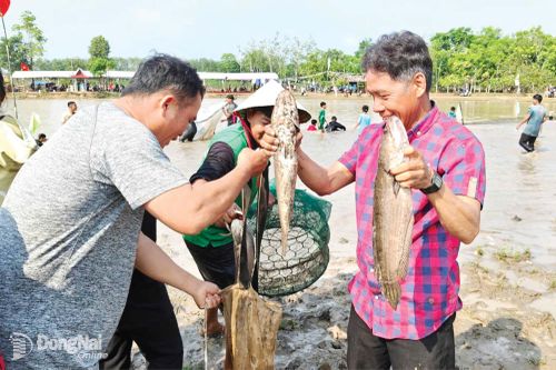Một người dân bắt được cá trong bàu nước tại lễ hội.