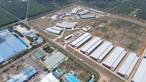 Quang cảnh Khu công nghiệp Dầu Giây nhìn từ trên cao. Ảnh: Xuân Phú