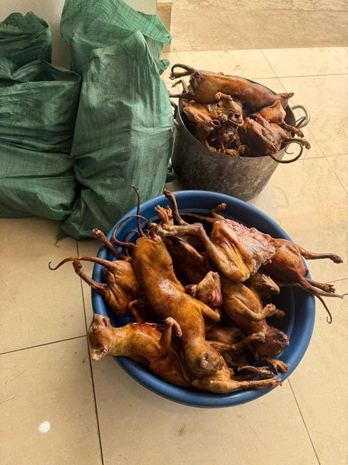 Món "tiểu hổ" được chế biến từ mèo bị trộm. Ảnh: CACC