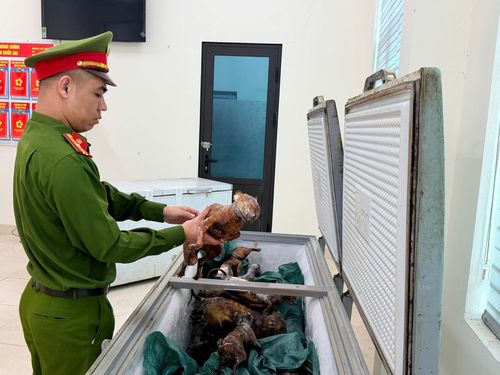 Mèo được thui chín và đông lạnh để tiêu thụ dần. Ảnh: CACC