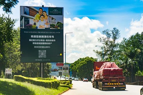 Biển quảng cáo trên trục đường chính dẫn tới khu ngoại ô của thủ đô Harare, Zimbabwe. Ảnh: Bloomberg.