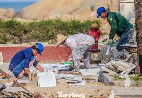  Những ngày này, dọc theo các tuyến đường ở khu du lịch biển Sầm Sơn đang được cải tạo, làm đẹp khách sạn, nhà hàng. Từng tốp công nhân miệt mài làm việc để chỉnh trang khu du lịch biển Sầm Sơn, chuẩn bị đón du khách dịp lễ 30/4-1/5. 