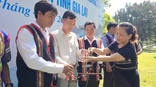 Bà Lê Thị Thu Hương, Phó Giám đốc Sở VHTTDL Gia Lai, trao cồng chiêng cho các đội văn nghệ địa phương
