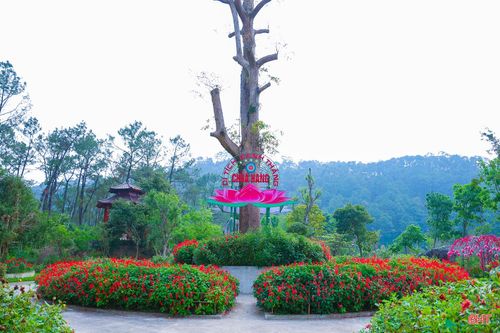 Nơi đây từ lâu đã trở thành điểm đến quen thuộc của phật tử và du khách thập phương trong hành trình khám phá vùng đất Hồng Lam.