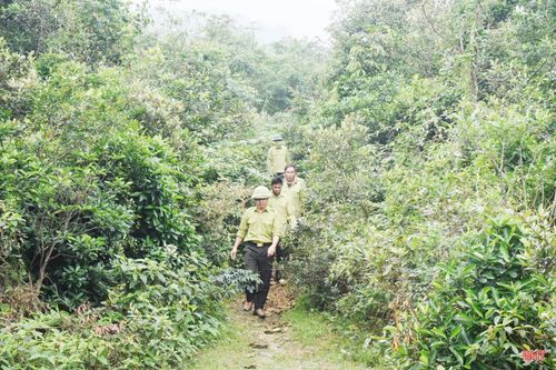Công tác tuần tra, bảo vệ rừng được 6 tổ xung kích, cơ động (với 51 người) thực hiện thường xuyên, liên tục, khép kín địa bàn, nhất là vào mùa nắng nóng. Các tổ xung kích có nhiệm vụ chốt chặn, kiểm soát người vào rừng.
