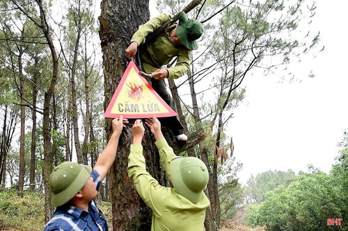 Tại các cửa rừng và khu vực có nguy cơ cháy cao đều lắp đặt biển cảnh báo, biển cấm lửa và bảng cấp độ cháy rừng. Mùa nắng nóng năm nay, đơn vị treo bổ sung 120 biển cấm lửa; tăng cường cảnh báo, siết chặt ý thức chấp hành, không để xảy ra các hành vi sử dụng lửa gần rừng.