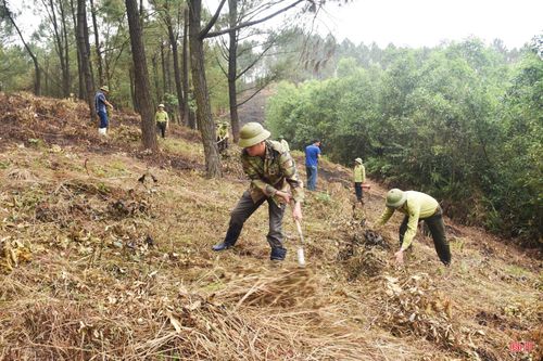 Đặc biệt, sau các trận bão lớn vào năm ngoái, lượng thực bì trên các cánh rừng thuộc lâm phần Ban QLRPH Nam Hà Tĩnh quản lý rất dày, nguy cơ cháy cao. Vì vậy, đơn vị đã chỉ đạo các tổ bảo vệ rừng, hộ nhận khoán, người dân gần rừng, đoàn viên thanh niên ra quân thu dọn, xử lý để giảm nguồn vật liệu cháy.