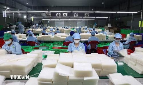 Hoạt động sản xuất tại một doanh nghiệp ở Tây Ninh. (Nguồn: TTXVN)