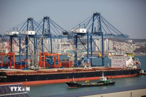 Khoảng 43,7% lượng urê nhập khẩu của Hàn Quốc đến từ Trung Đông. (Ảnh: THX/TTXVN)