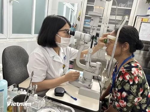 (Ảnh: PV/Vietnam+)