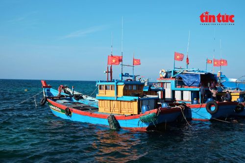 Những con tàu đánh bắt xa bờ mang theo lá cờ đỏ sao vàng neo đậu tại cảng.