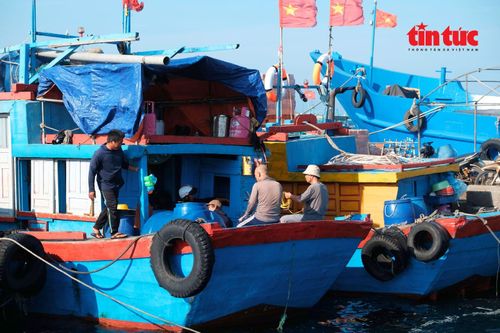 Lý Sơn hướng tới trở thành đặc khu biển đảo giàu bản sắc, phát triển bền vững gắn chặt với bảo vệ chủ quyền biển đảo.