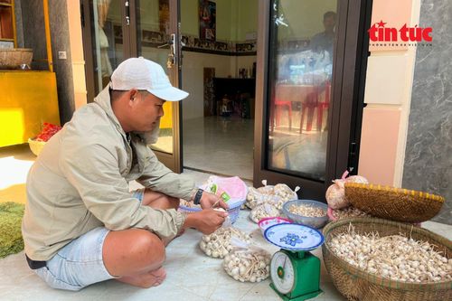 Bên cạnh việc cho thuê chỗ ở, anh Bình còn kiêm thêm dịch vụ ăn uống, lái xe điện và duy trì nghề làm tỏi.