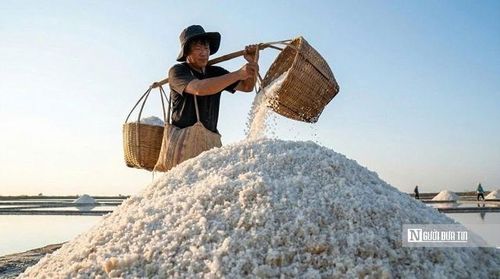 Muối Bạc Liêu (hay muối Ba Thắc) không chỉ là sản phẩm của nắng và gió. Đó là kết tinh của điều kiện tự nhiên đặc biệt: đất giàu sét, nước biển ổn định, hệ thống sông ngòi dày đặc… tạo nên thứ muối có vị “hậu ngọt” rất riêng. Trải qua hàng trăm năm, nghề muối vẫn tồn tại như một phần ký ức sống của vùng đất phương Nam. 