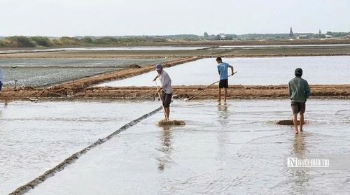 Nước biển từ trảng chứa tiếp tục được dẫn qua các ô “kề” bố trí so le – xa kề, nhì kề, xếp chuối theo địa hình ruộng muối. Cách sắp xếp này không chỉ giúp tăng dần độ mặn và loại bỏ tạp chất qua từng cấp phơi, mà còn thể hiện kinh nghiệm sản xuất lâu đời của diêm dân trong việc chủ động điều tiết dòng nước, giảm rủi ro khi một ô ruộng gặp sự cố.