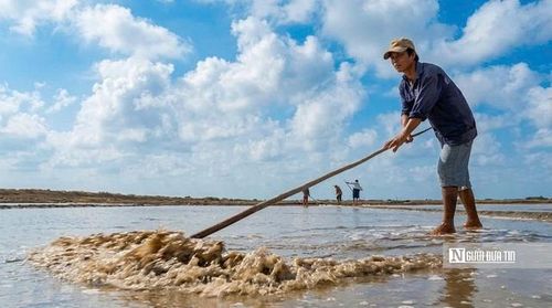 Dưới cái nắng gắt trên cánh đồng muối, nước biển được dẫn qua các ô phơi theo từng cấp để tăng dần độ mặn và lắng tạp chất, công đoạn mang tính quyết định đến độ trắng, sạch của hạt muối. Theo ông Ba Tấn, nghề này không chỉ phụ thuộc vào nắng mà còn đòi hỏi kinh nghiệm “canh nước, canh gió” để đạt được chất lượng muối tốt nhất.