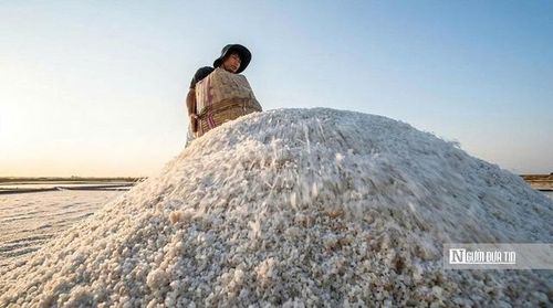 Diêm dân trên cánh đồng muối đổ những giỏ muối vừa thu hoạch lên đống, từng hạt trắng rơi lấp lánh dưới nắng. Công việc nặng nhọc nhưng quen thuộc này không chỉ tạo ra sản phẩm, mà còn gìn giữ nghề muối truyền thống qua nhiều thế hệ.