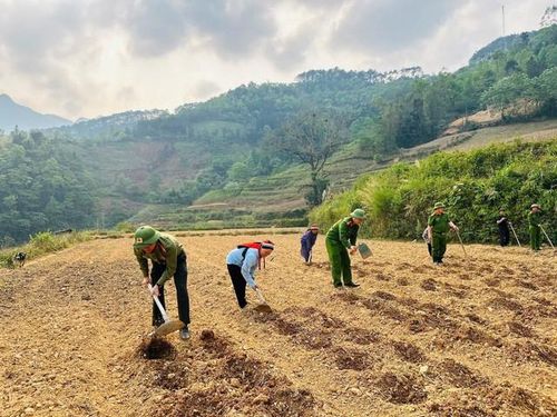 Lực lượng chức năng hộ trợ người dân canh tác tại Tuyên Quang.