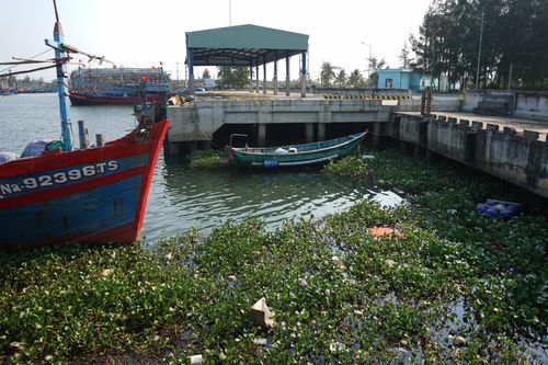 Vấn đề môi trường, xử lý nước thải... ở cảng cá Hồng Triều cần được quan tâm. Ảnh: LÂM VIÊN