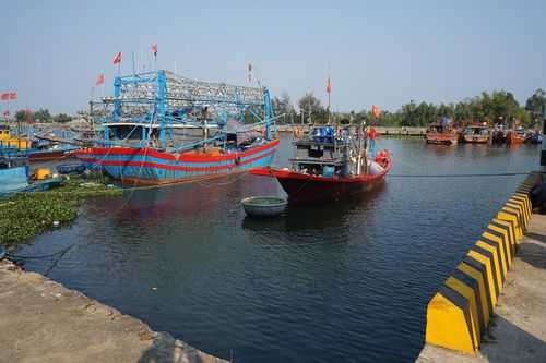 Các tàu thuyền neo đậu ở cảng cá Hồng Triều đa số có công suất nhỏ. Ảnh: LÂM VIÊN