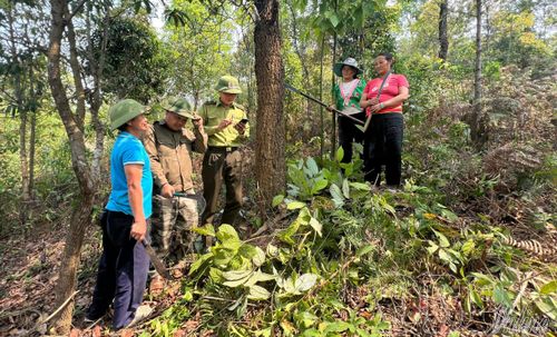 Cán bộ kiểm lâm sử dụng công nghệ để phát hiện các vị trí, điểm nghi cháy. 