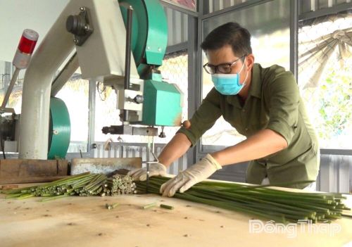 Anh Phan Tấn Phát vận hành máy cắt cỏ bàng thành ống hút.