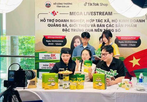  Chị Hồ Thị Hoài Thu trực tiếp livestream sản phẩm của Công ty CP Chế biến xuất nhập khẩu Green Tropical (xã Chư Sê) cùng các KOL. Ảnh: H.Y 