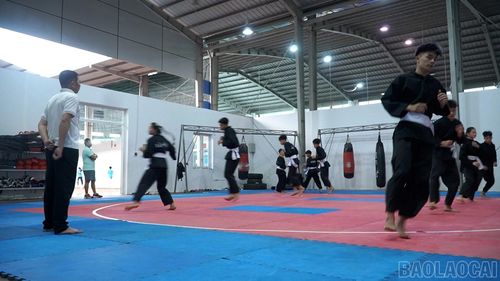 Từ 4 vận động viên ban đầu, đội tuyển Pencak Silat Lào Cai đã phát triển lên 19 vận động viên và 2 huấn luyện viên.