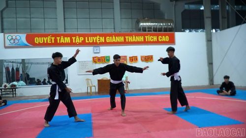 Các vận động viên rèn luyện kỹ thuật, hoàn thiện bài quyền và kỹ năng thi đấu.