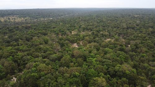 Rừng Tà Kóu - nơi đang triển khai dự án Khu du lịch suối nước nóng Bưng Thị