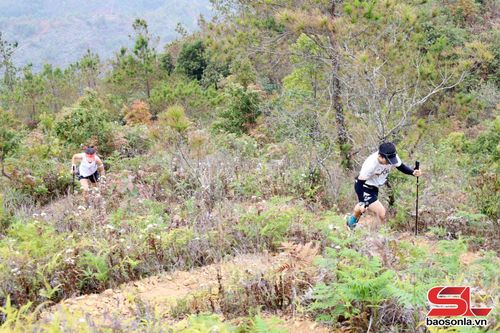 Các vận động viên tham gia Giải leo núi “Sơn tra SkyRace” năm 2026, chinh phục các đỉnh núi tại xã Ngọc Chiến. Ảnh Minh Ngọc